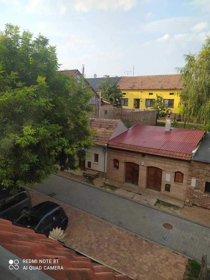 Penzion Slunce Nad Vinnym Sklepem Moravská Nová Ves Eksteriør billede